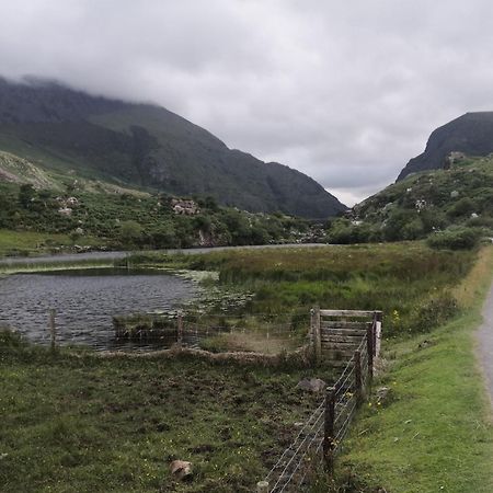 Herlihy'S, Half-Way-House Farranfore ภายนอก รูปภาพ
