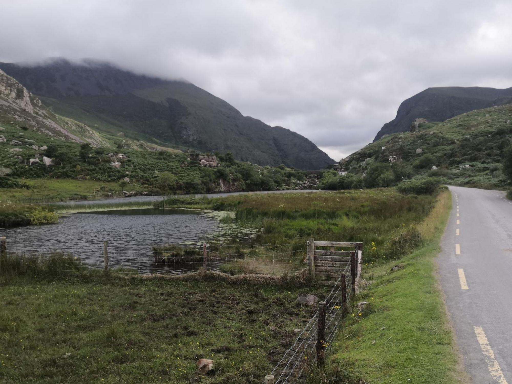 Herlihy'S, Half-Way-House Farranfore ภายนอก รูปภาพ