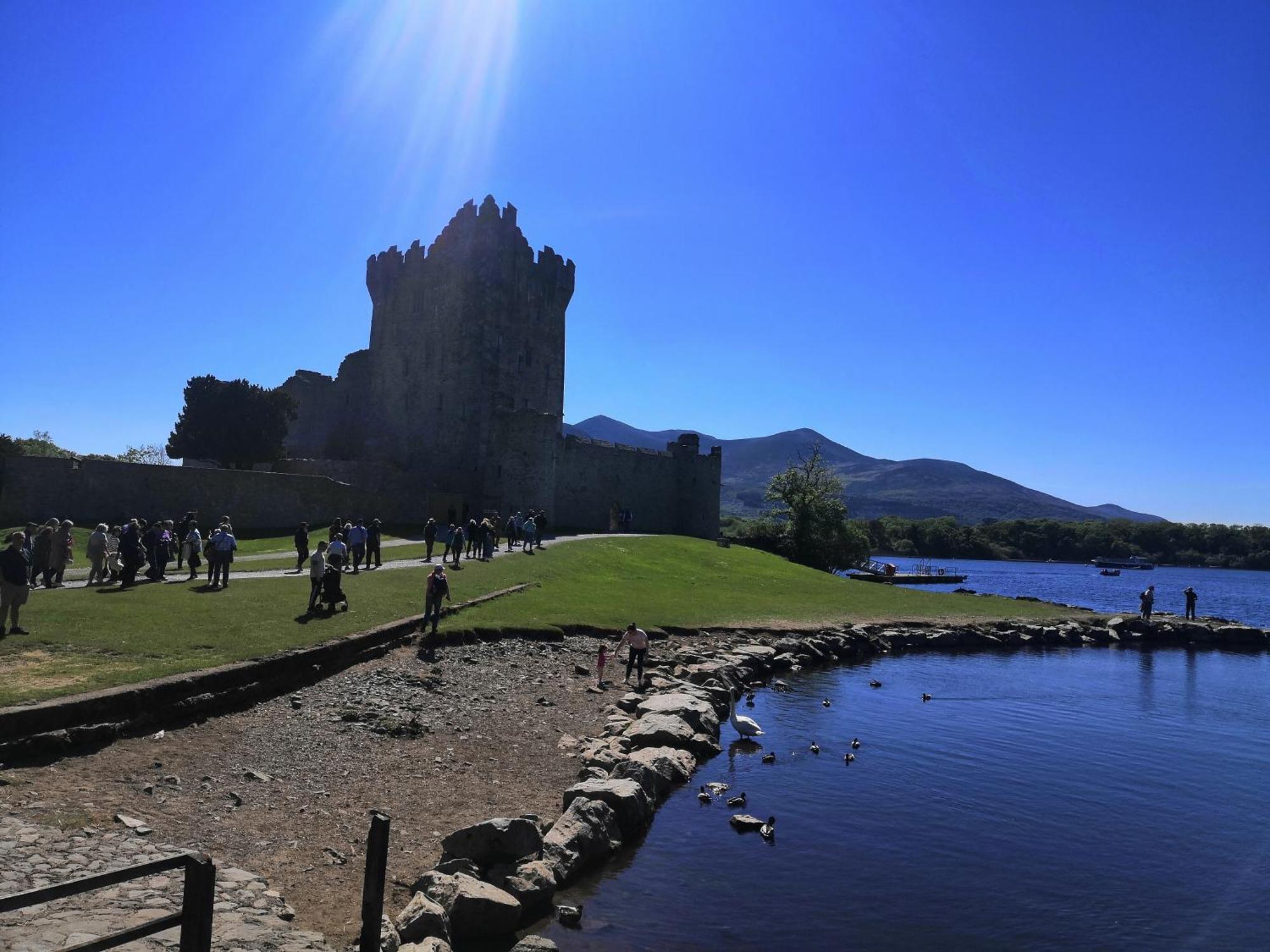 Herlihy'S, Half-Way-House Farranfore ภายนอก รูปภาพ